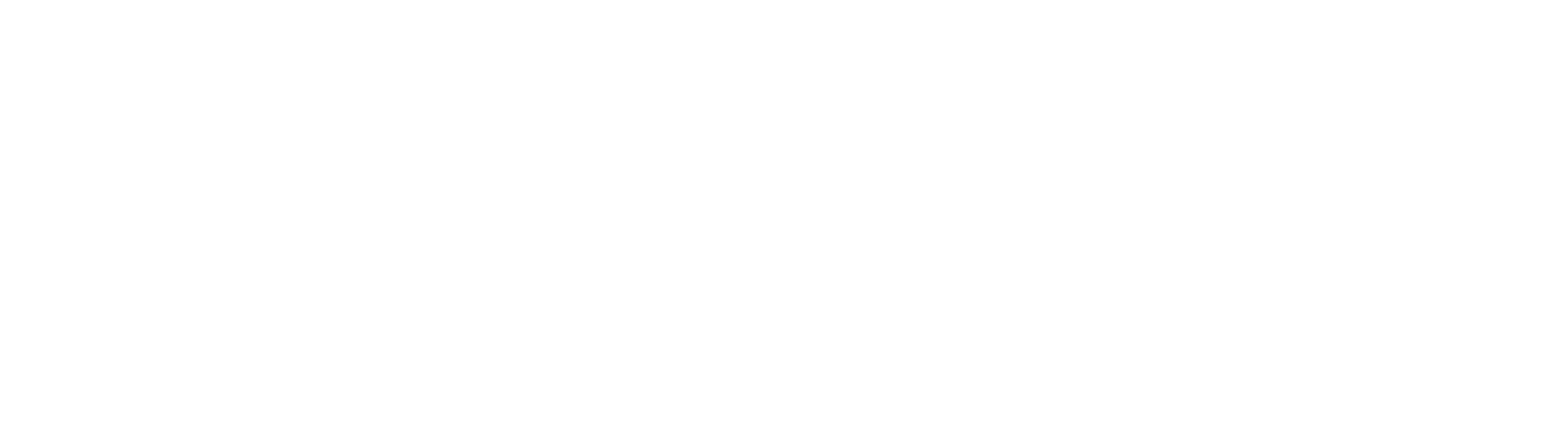 Migneco Team